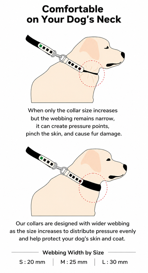 Clover Collar – Black