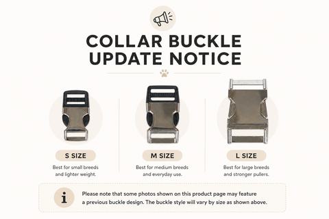Clover Collar – Black