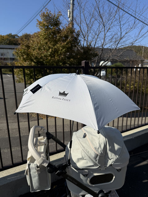 Parasol