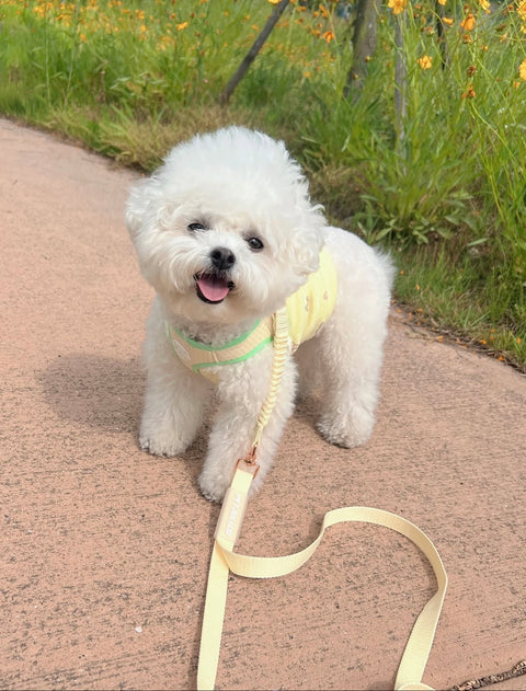 Jul Leash