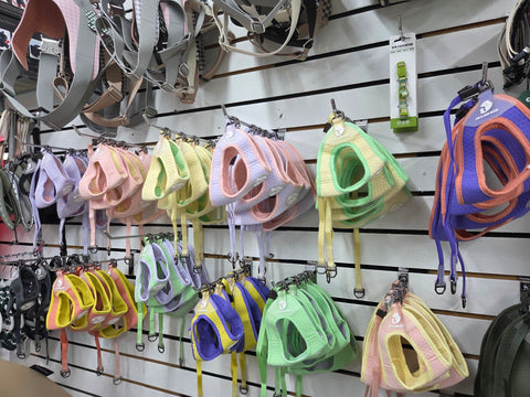 Summer Harness