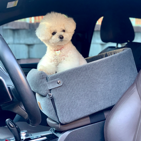 Console Dog Car Seat