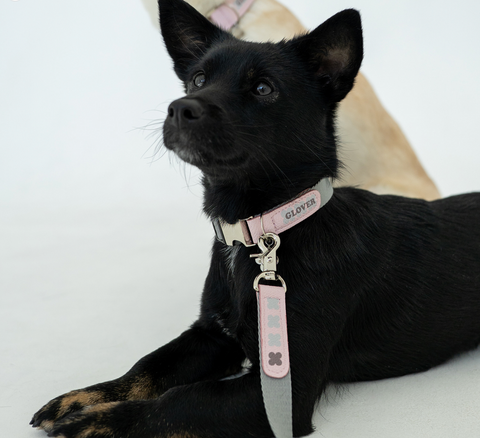 Clover Collar - Pink Gray