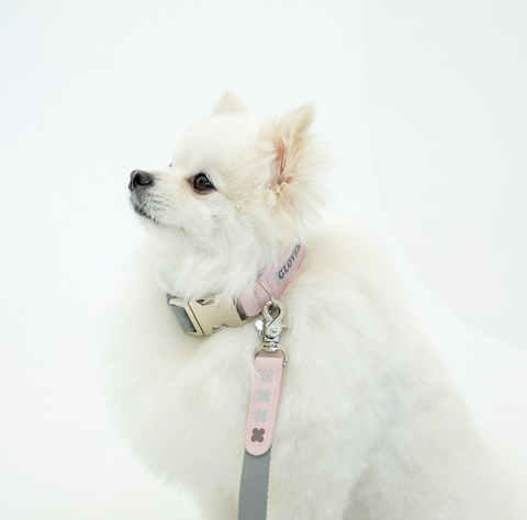Clover Collar - Pink Gray
