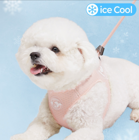 Summer Harness
