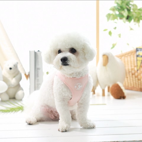 Summer Harness