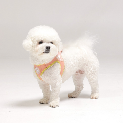 Summer Harness