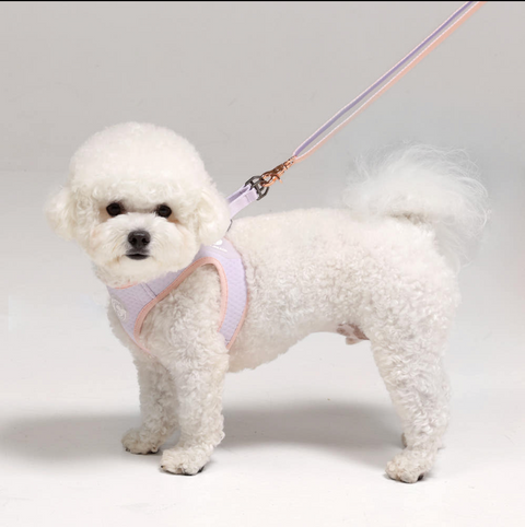 Summer Harness