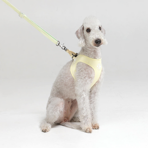 Summer Harness