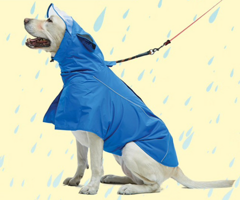 Rain Coat