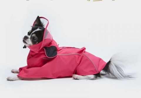 Rain Coat