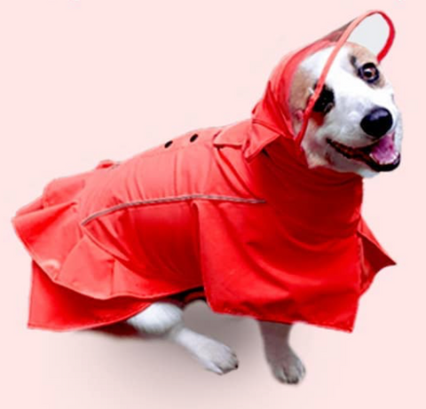 Rain Coat