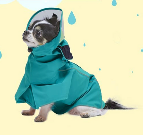 Rain Coat