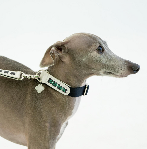 Clover Collar – Black