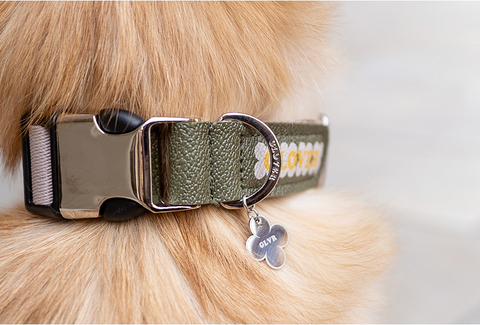Clover Collar – Black