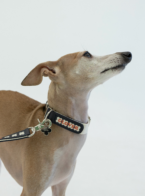 Clover Collar - Navy