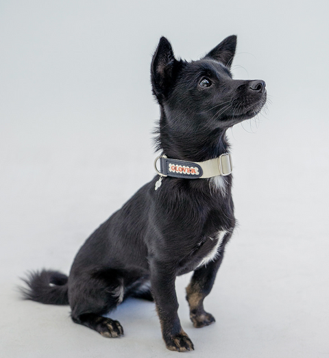 Clover Collar - Navy