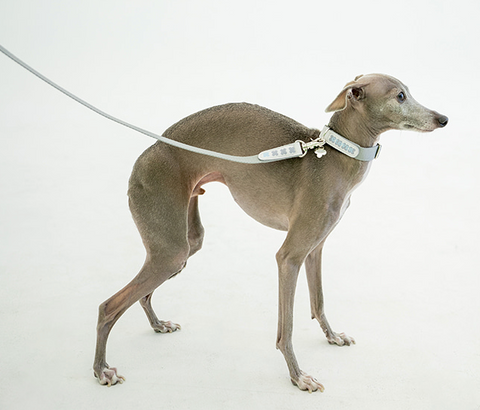Clover Collar - Gray