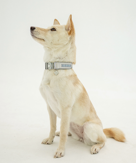 Clover Collar - Gray