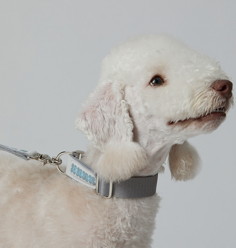 Clover Collar - Gray