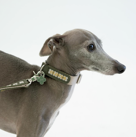 Clover Collar - Khaki