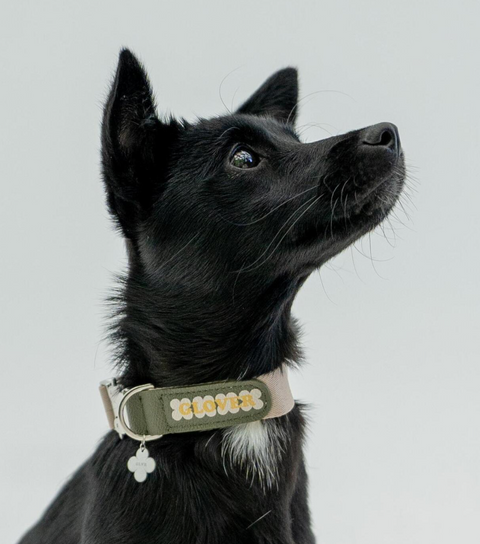 Clover Collar - Khaki