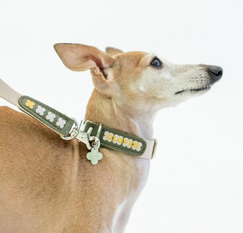 Clover Collar - Khaki