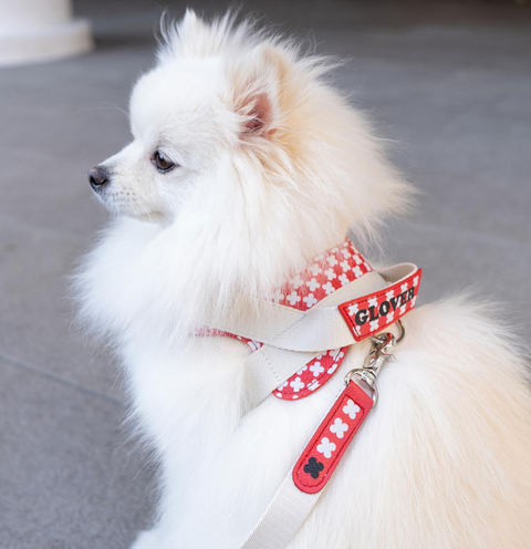 Clover Harness - Red