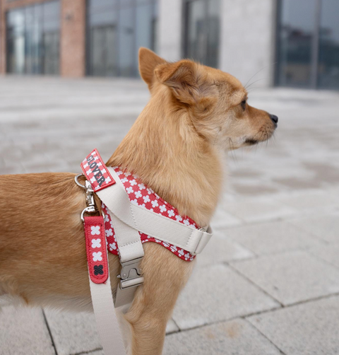 Clover Harness - Red