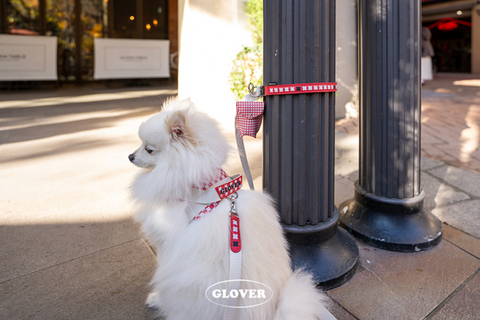Clover Harness - Red