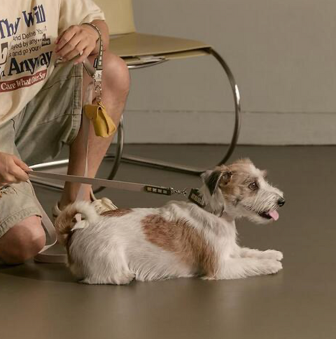 Multi Leash - Khaki
