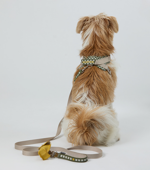 Multi Leash - Khaki