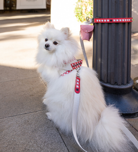 Multi Leash - Red