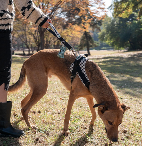 Short Grip Leash - Black