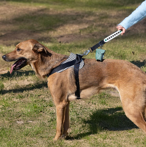 Short Grip Leash - Black