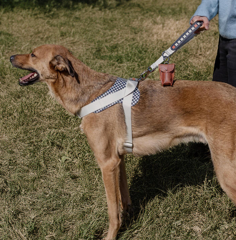 Short Grip Leash - Black