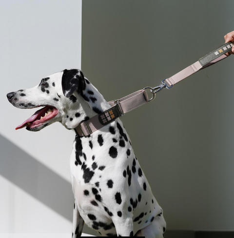 Short Grip Leash - Khaki