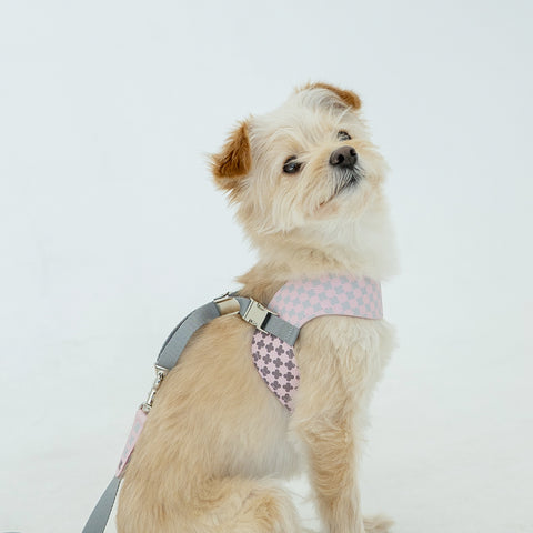 Clover Harness - Pink Gray