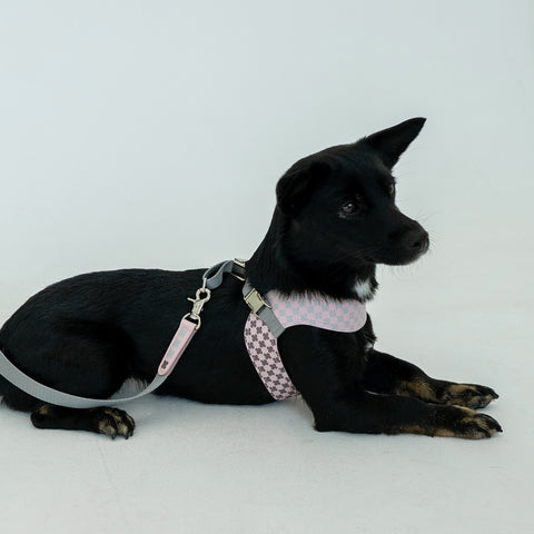 Clover Harness - Pink Gray